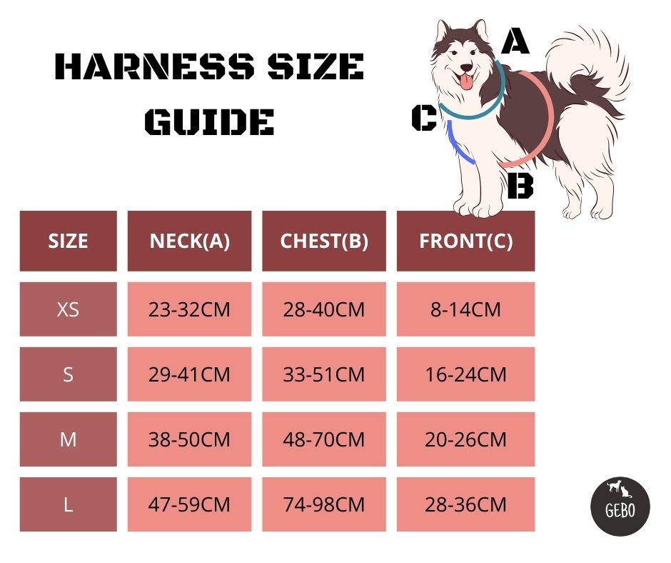 Dog harness "Night park"