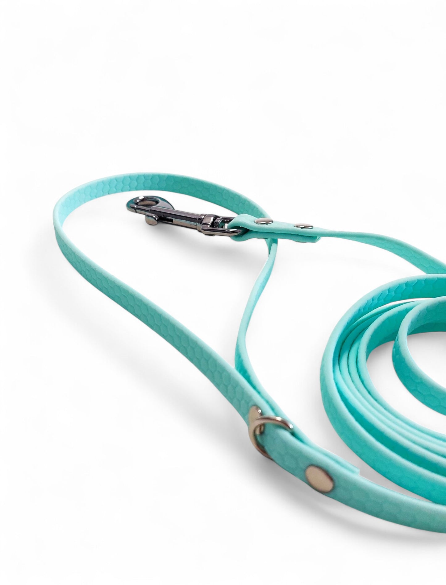 Pastel blue pet leash