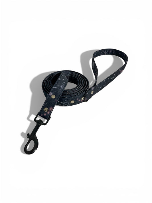 “Night park" dog leash