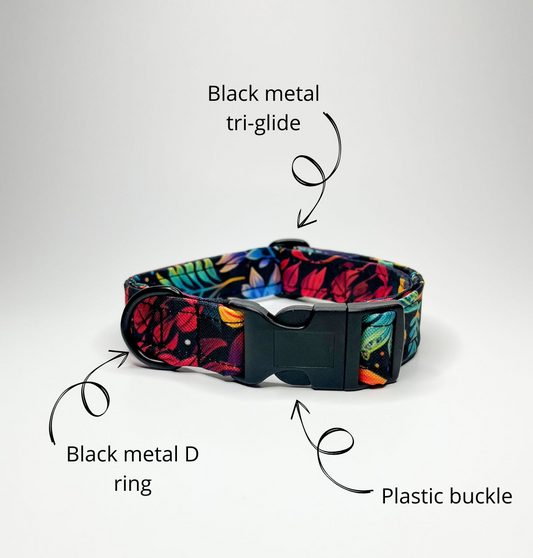 Plastic buckle collar