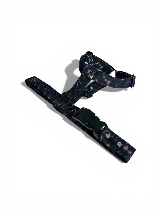 Dog harness "Night park"