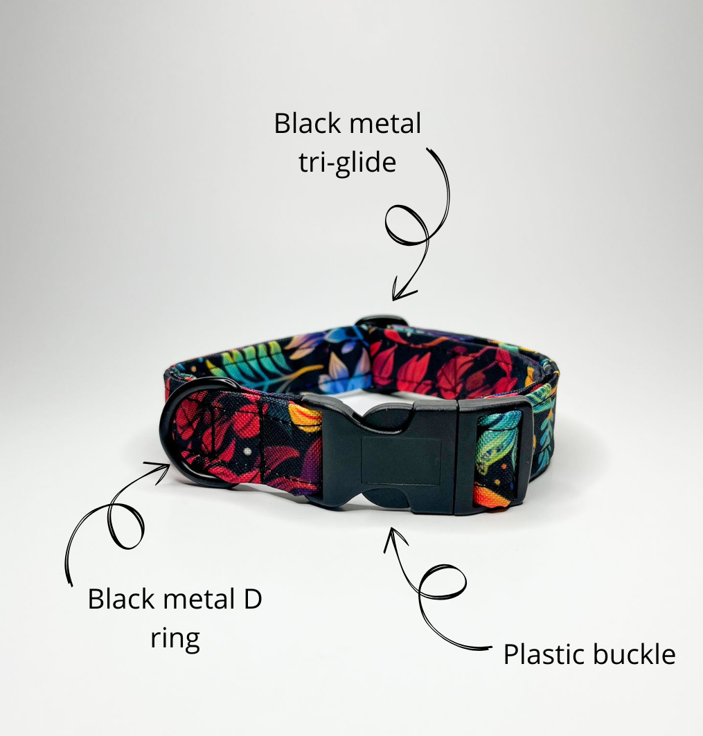 DOG COLLAR WITH PLASTIC BUCKLE