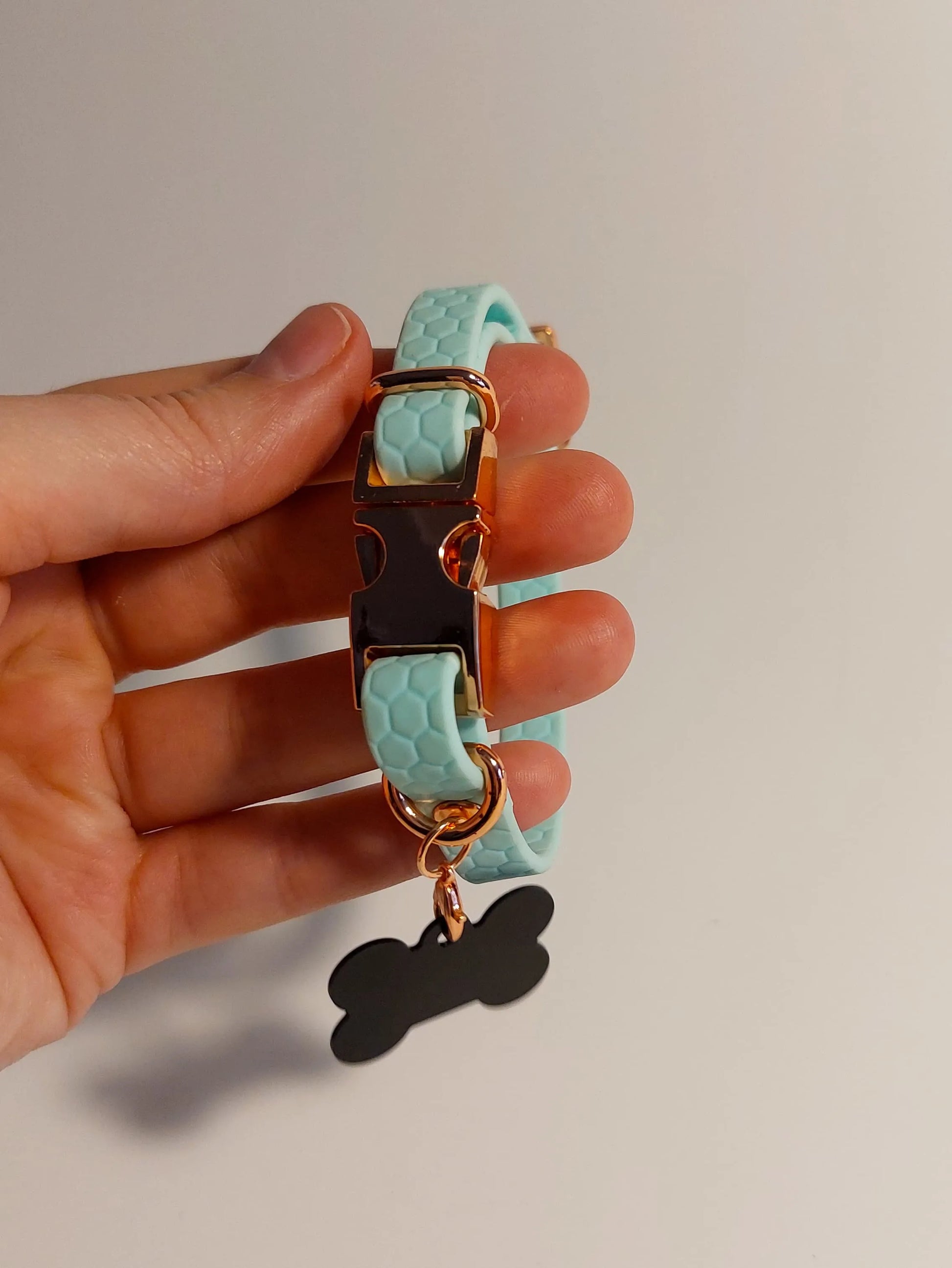 Pastel blue cat collar with ID tag